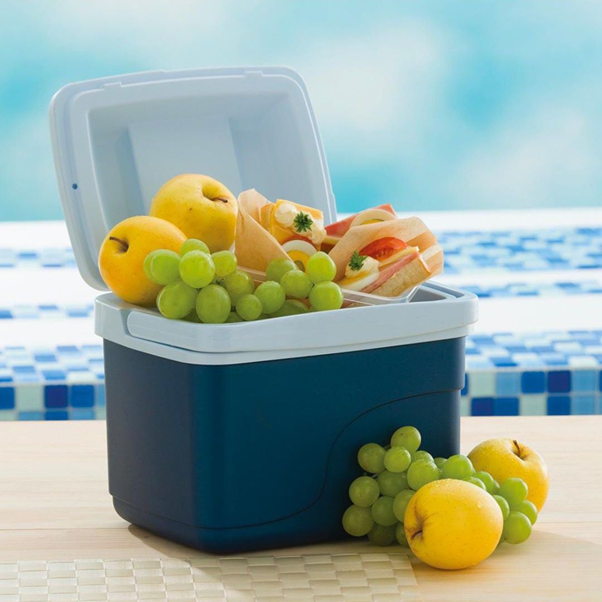 DISA SOLUCIONES ECOEFICIENTES - COOLER AZUL DE 42 LTS