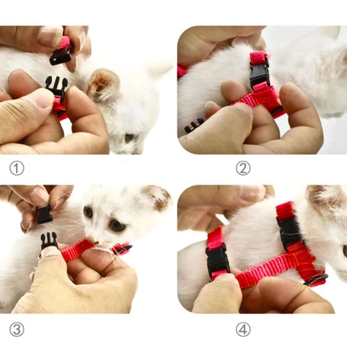 GENERICO - ARNES CON ALAS Y CORREA TALLA S - ROJO