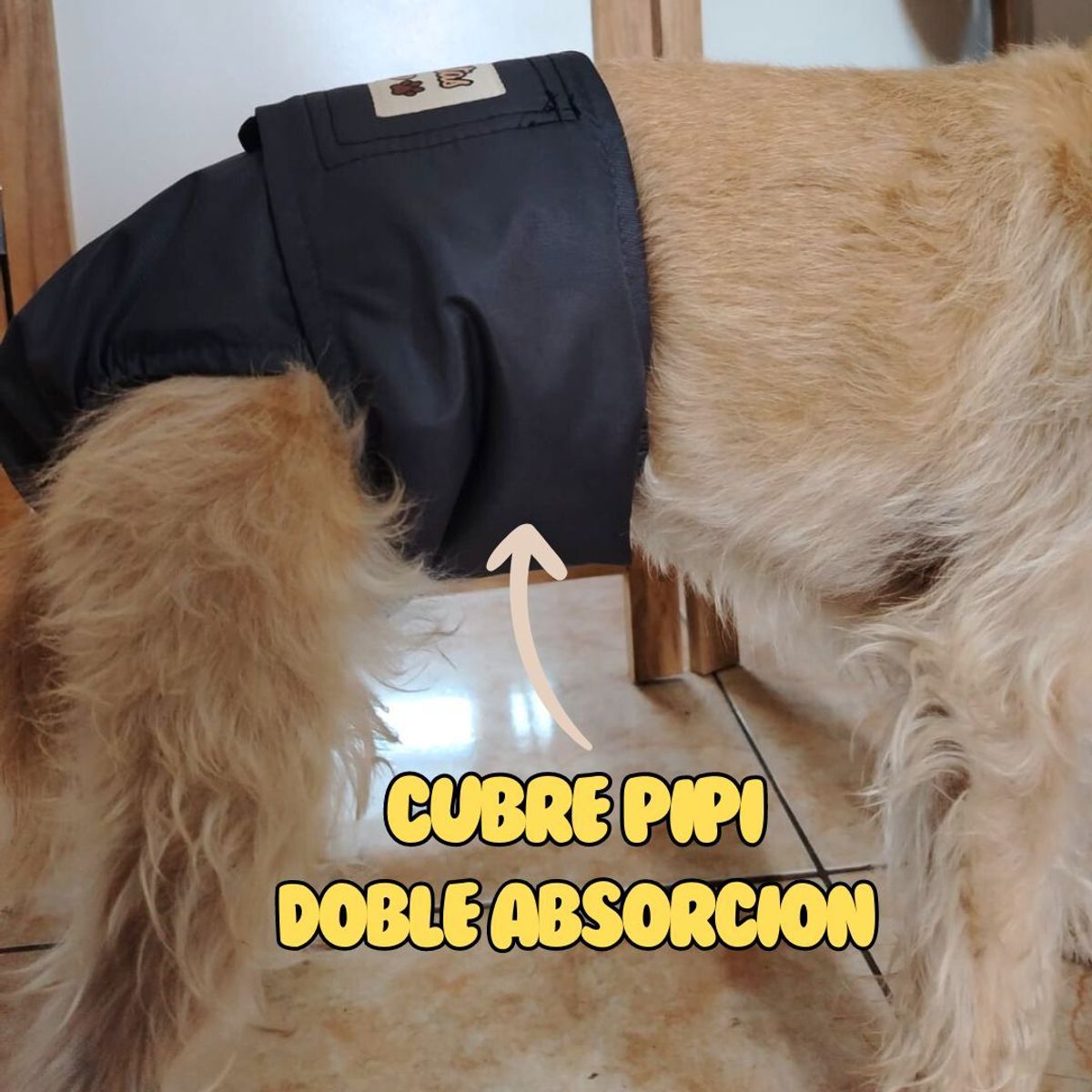 GENERICO - Calzoncillo Reutilizable Para Macho Extra Seguro S