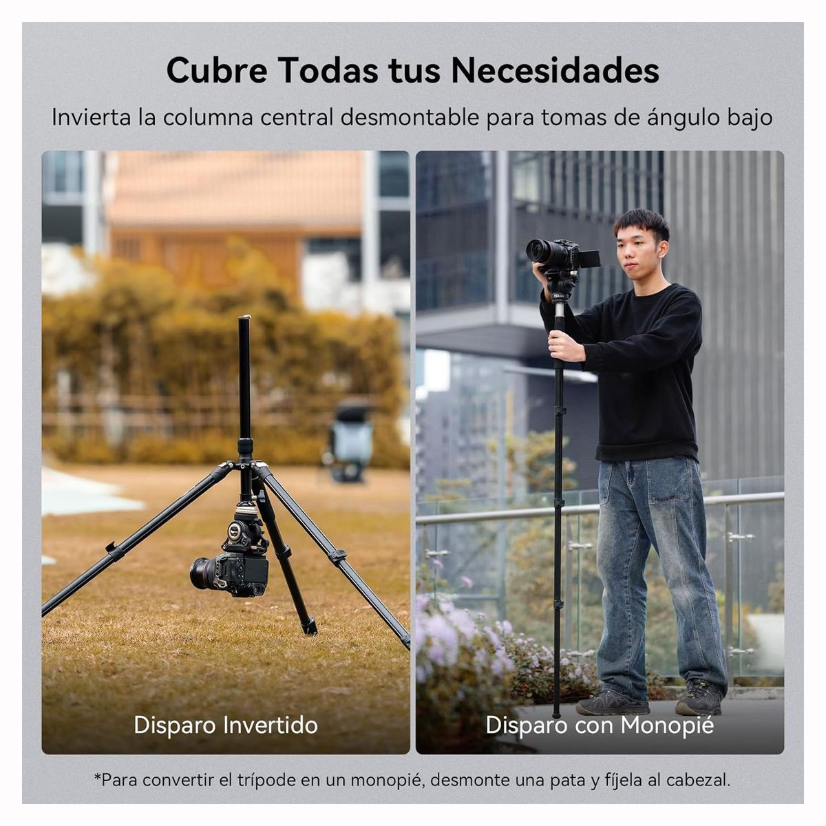 GENERICO - Trípode Monopie SmallRig CT210 de Cabezal Fluido Cámaras Hasta 6Kg