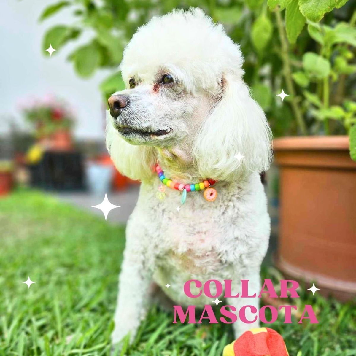 GENERICO - Collar para mascota L 43-55cm