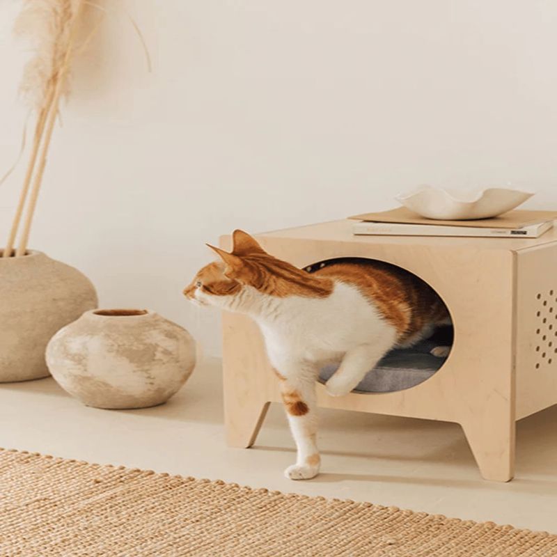 GENERICO - casa para gatos Bureku I.