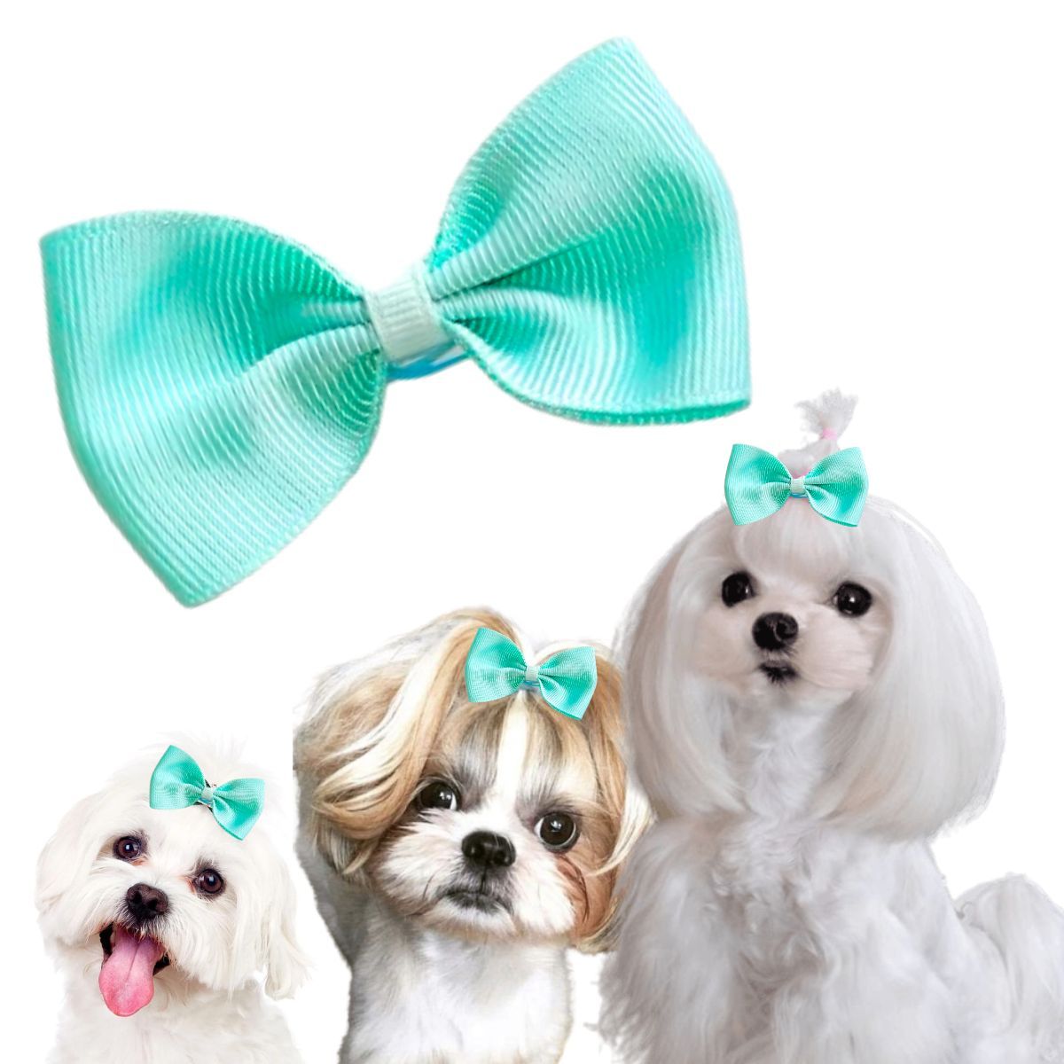 GENERICO - MOÑO PARA MASCOTAS VERDE AGUA - GRANDE