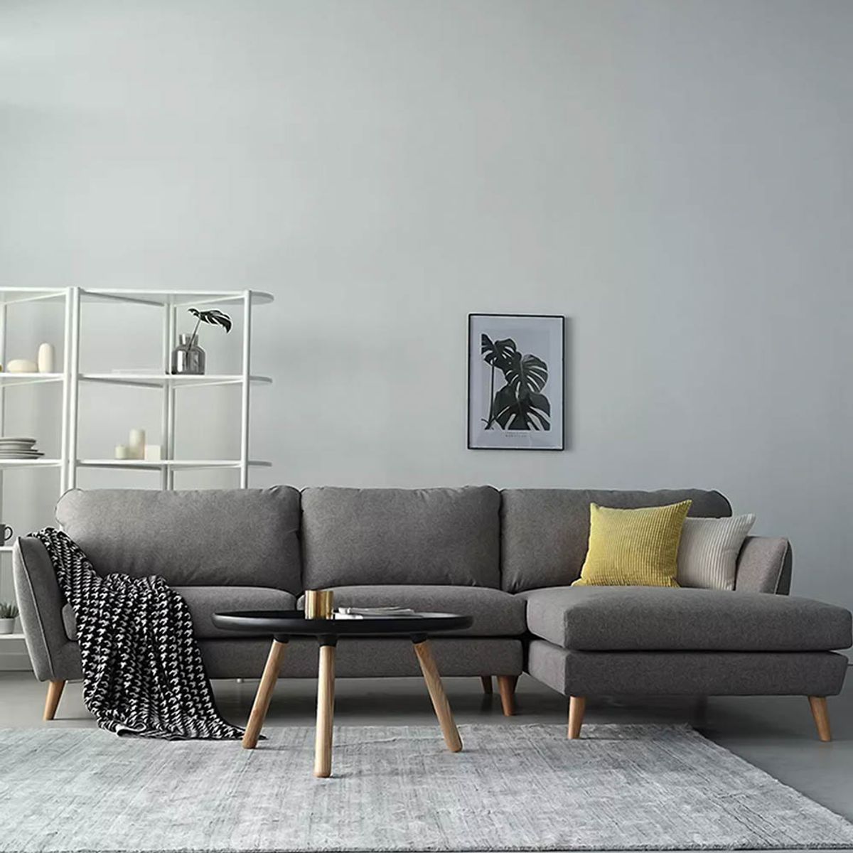 GENERICO - Seccional Derecho Olivia