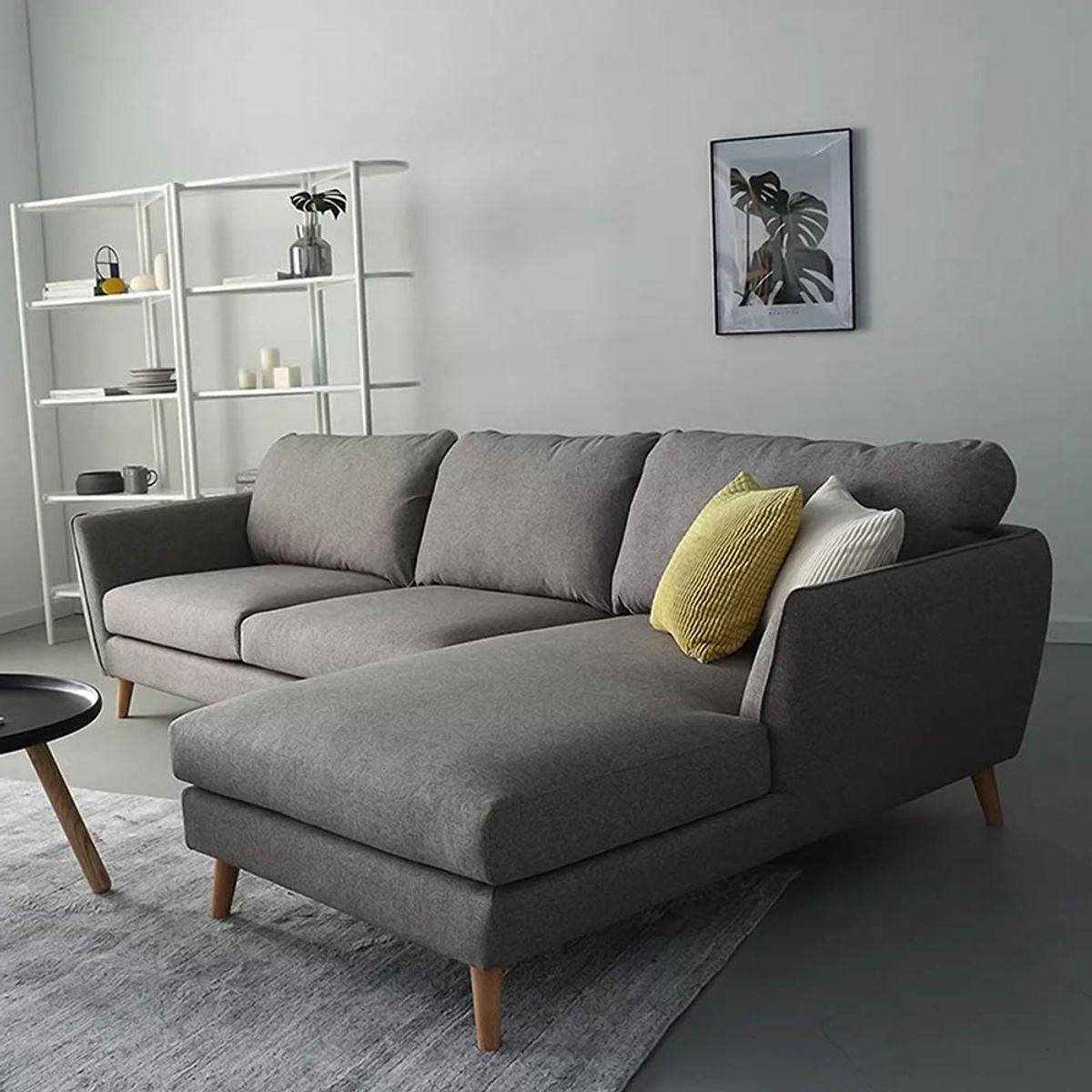 GENERICO - Seccional Derecho Olivia