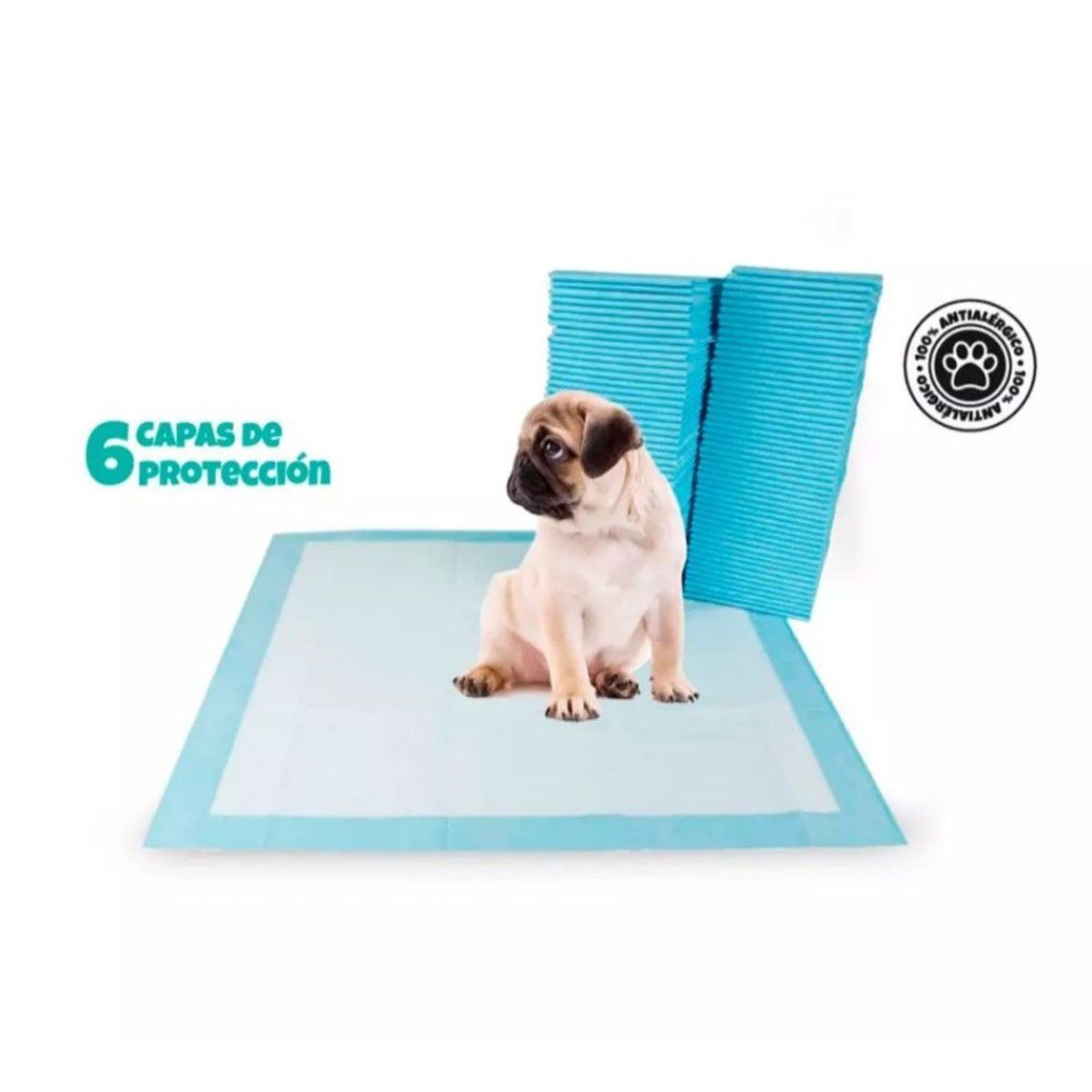 GENERICO - Pañales de Piso para Perros  Talla L 40 unidades