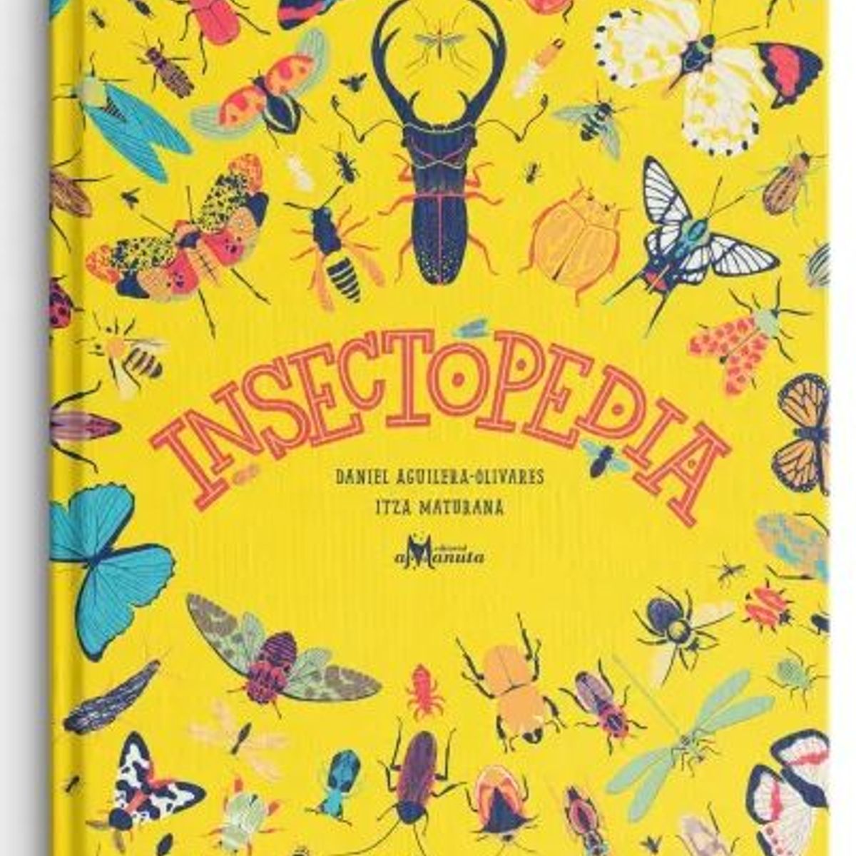 GENERICO - Libro infantil Insectopedia