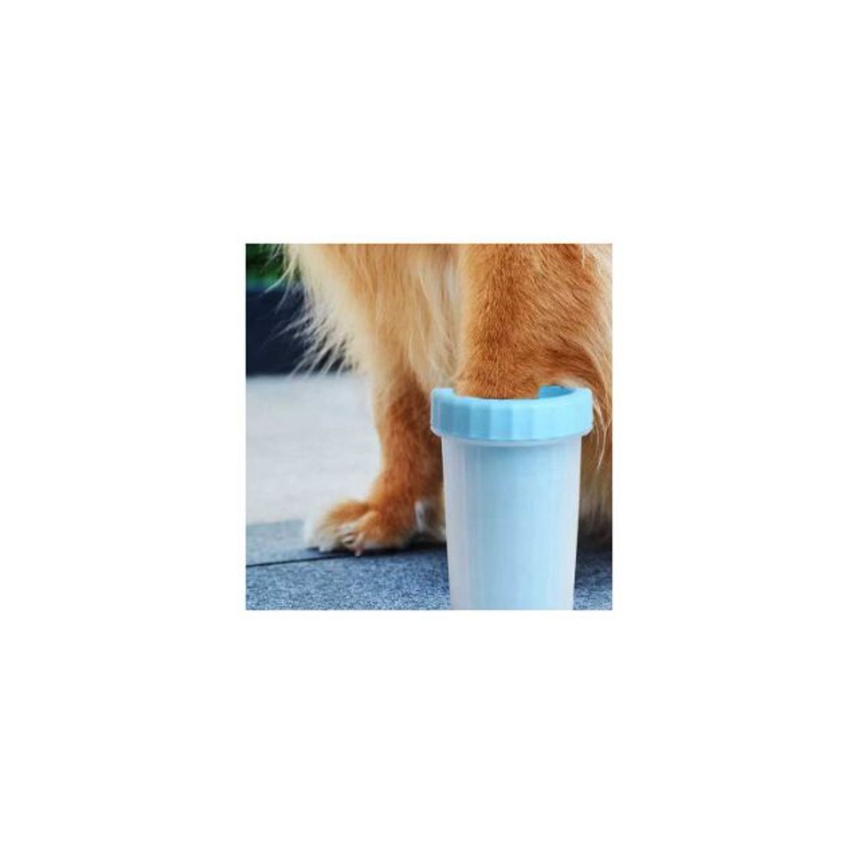 GENERICO - Limpia Patitas Para Mascotas