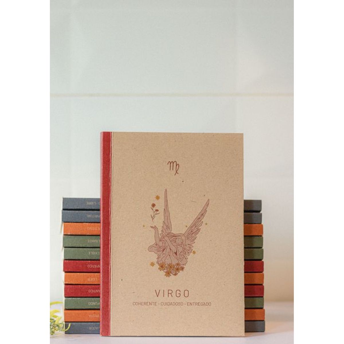 CANDRA - Libreta de notas Virgo