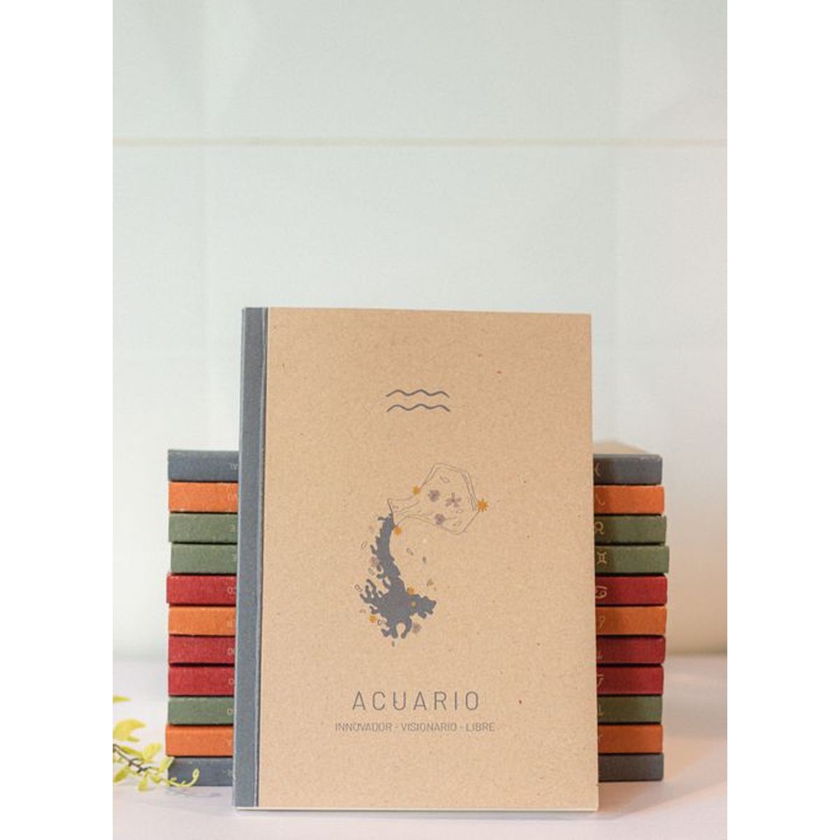 CANDRA - Libreta de notas Acuario