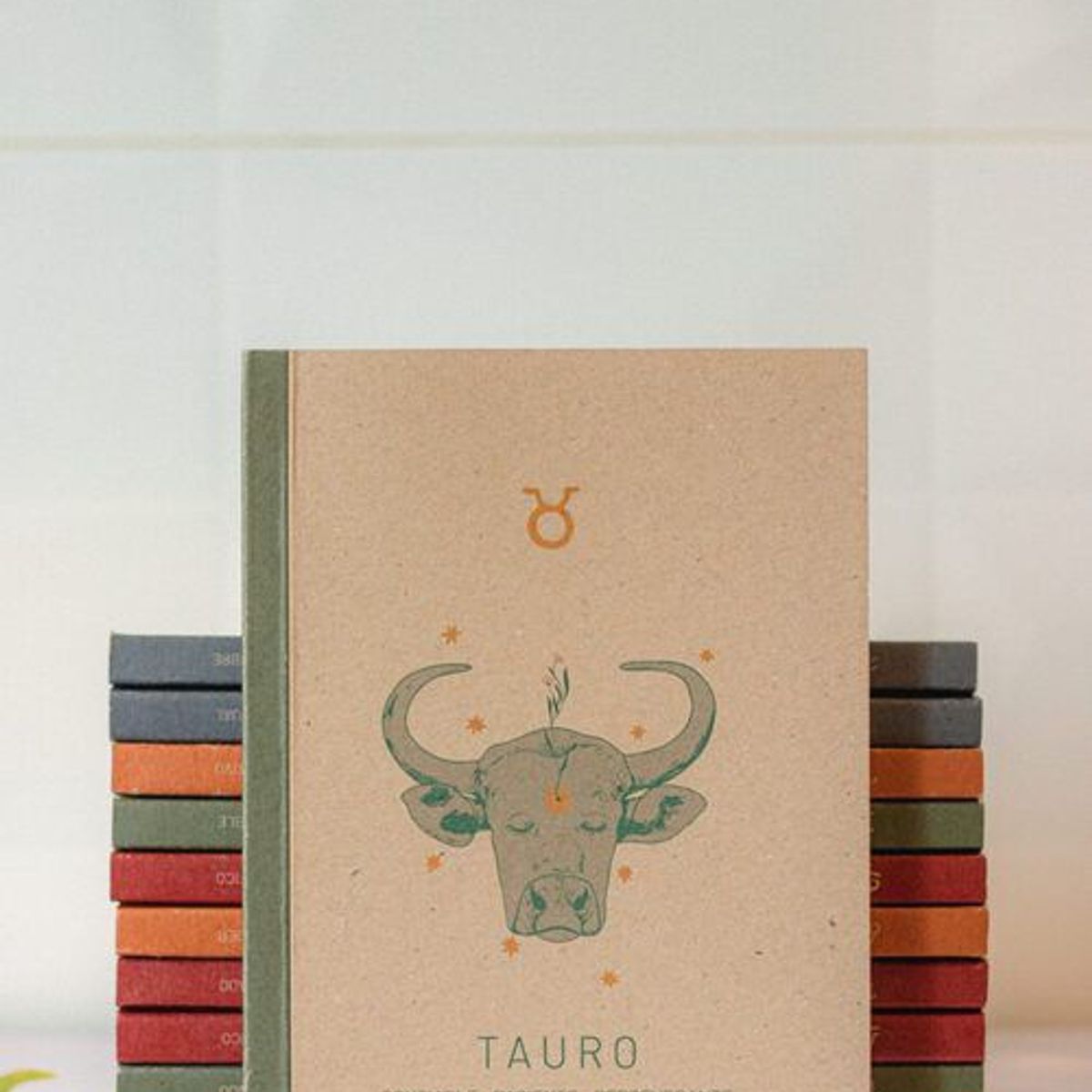 CANDRA - Libreta de notas Tauro