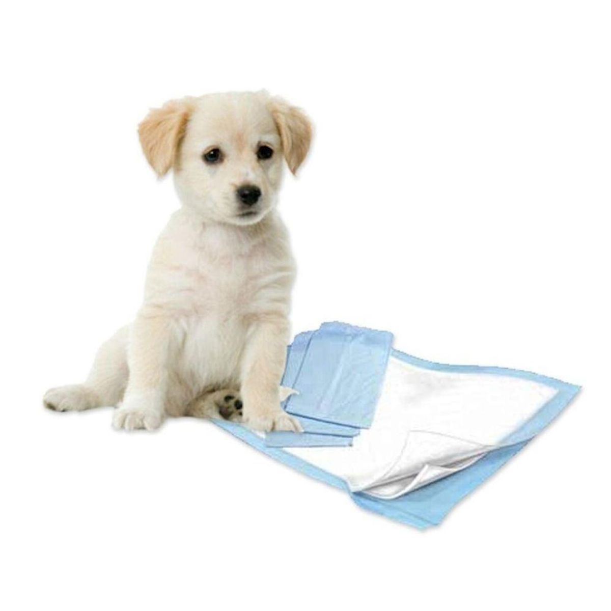 OTTOWARE - Pañales para Piso para Perros 40 Piezas