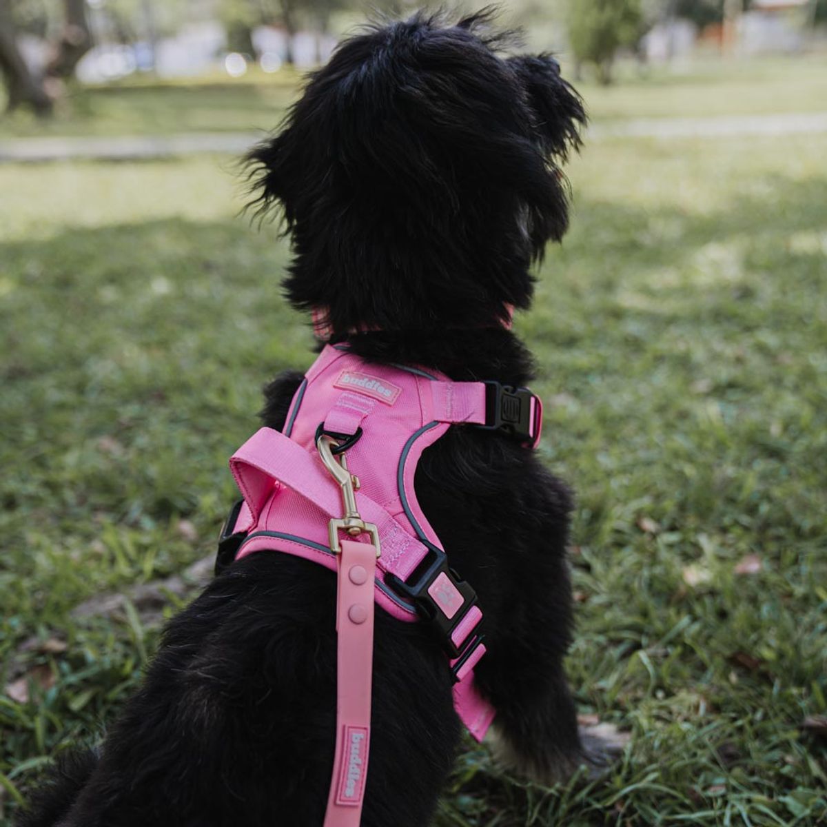BUDDIES - Buddies Arnés Pechera Para Perros Paseos Rosado M