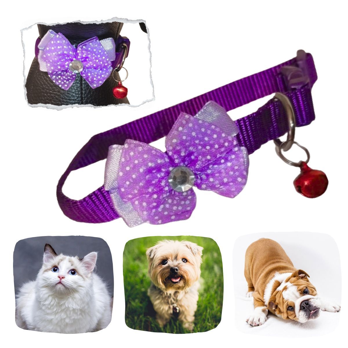 GENERICO - COLLAR ANCHO PARA MASCOTAS-MOÑO GRANDE Y CASCABEL MORADO.