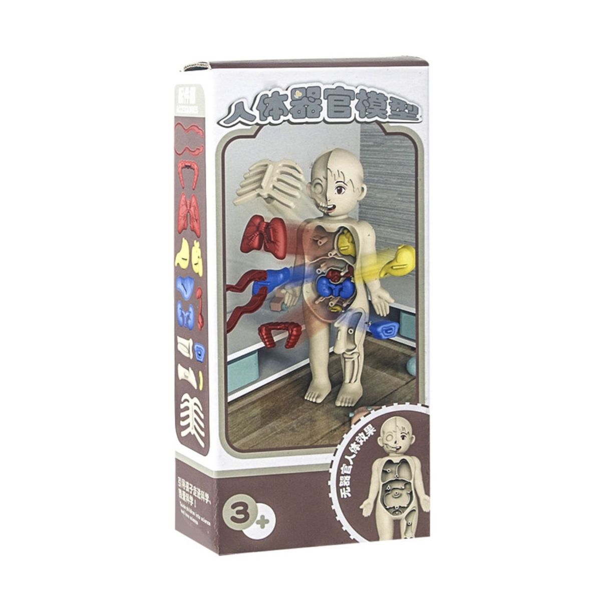 GENERICO - MONTESSORI ROMPECABEZAS 3D EDUCATIVO - CUERPO NIÑO