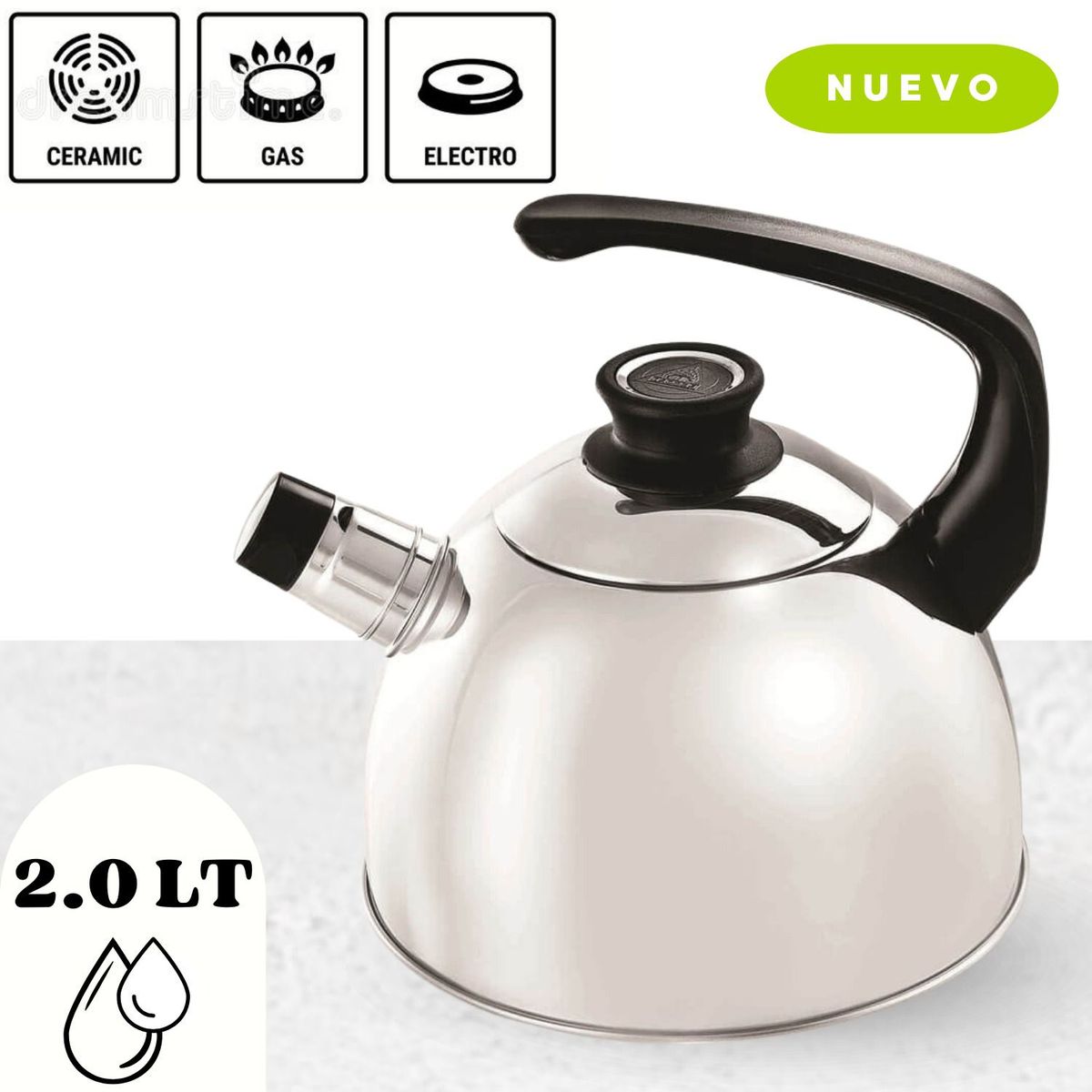 RECORD - Tetera de Acero Inoxidable de 2 Lt Record