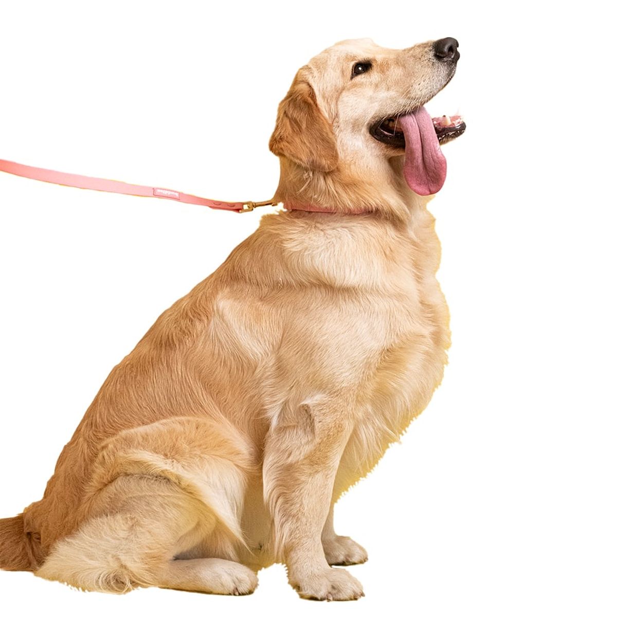 BUDDIES - Collar Para Perros Ajustable Rosado S