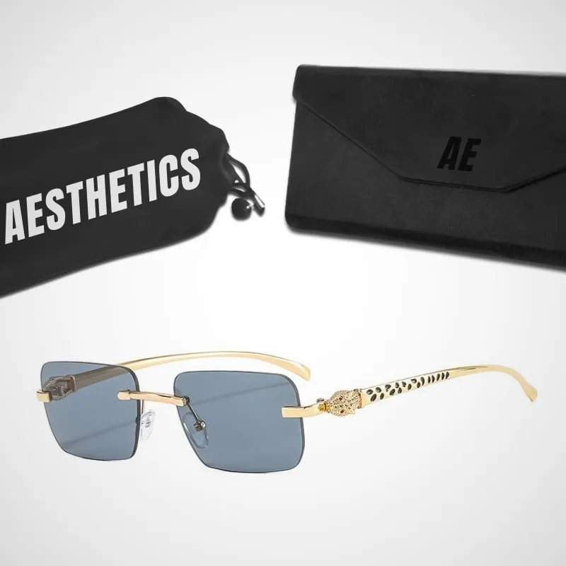 GENERICO - Lentes de Sol Aesthetics Fancy Leopard para Hombre y Mujer
