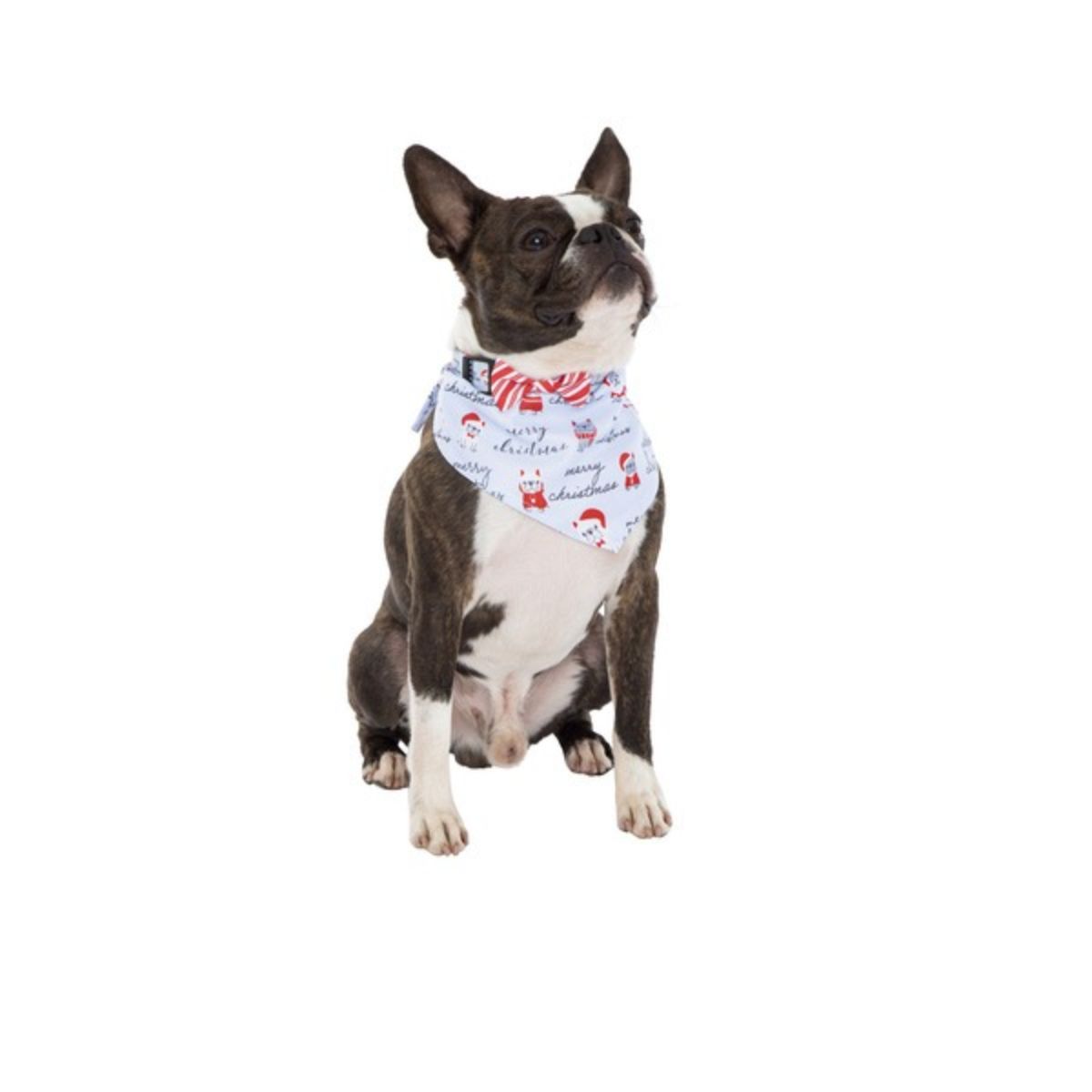 GENERICO - Collar con Lazo y Badana para perro Navideño - Celeste - S/M - Celeste - L/XL