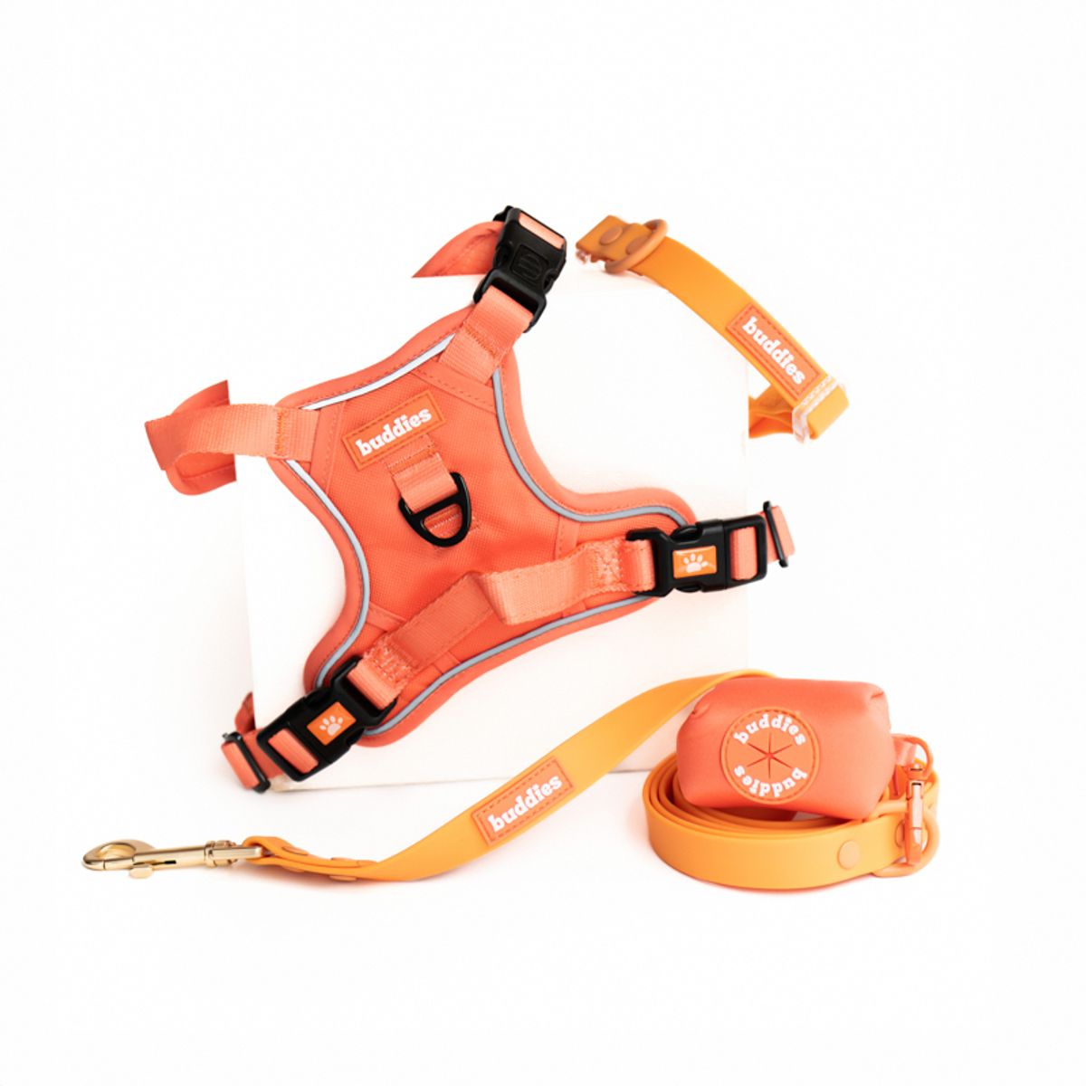 BUDDIES - Arnes Pechera y correa 152cm mascotas Naranja S