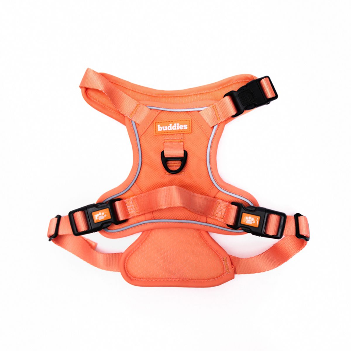 BUDDIES - Arnes Pechera y correa 152cm mascotas Naranja S