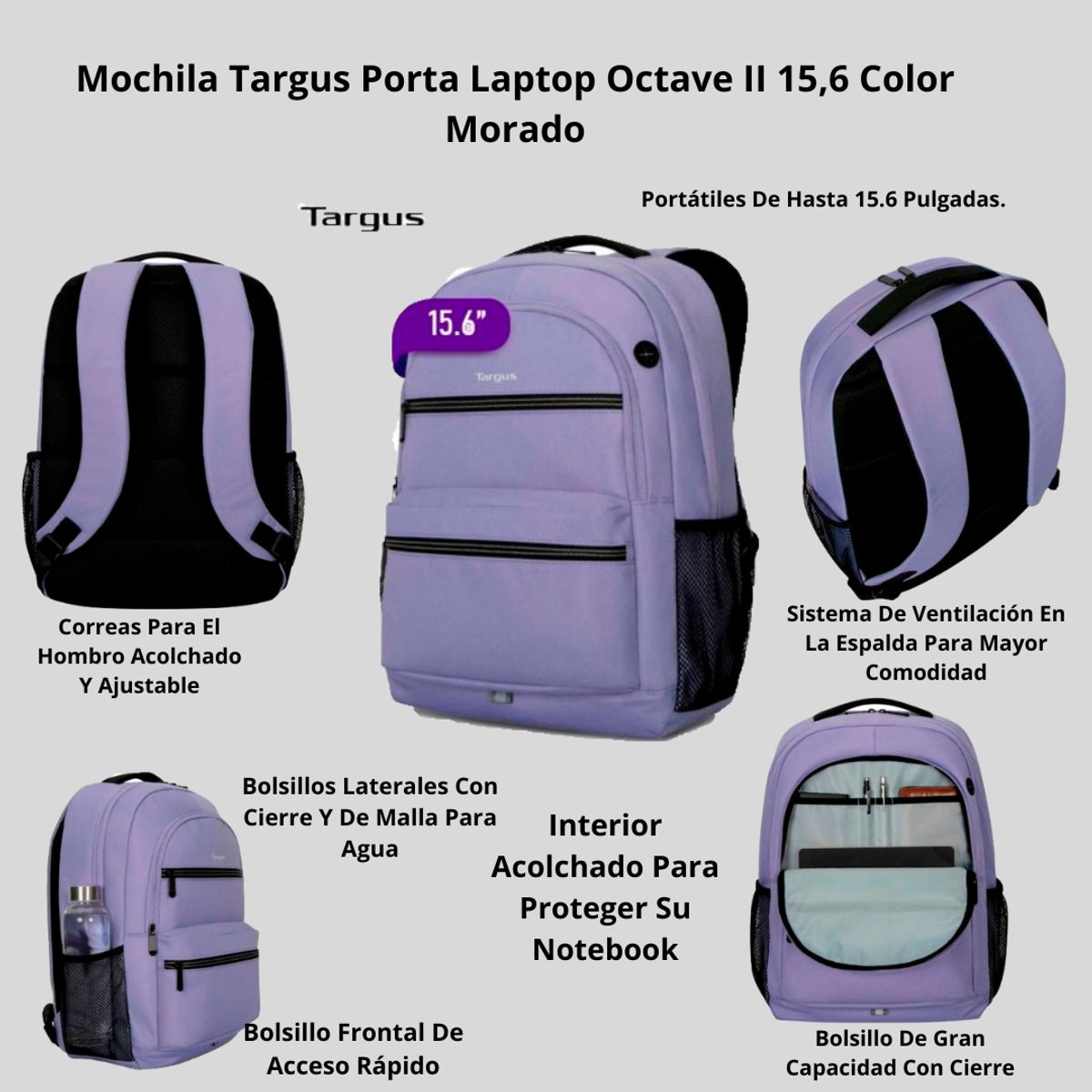 TARGUS - Mochila Porta Laptop Targus 15,6 Color Morado