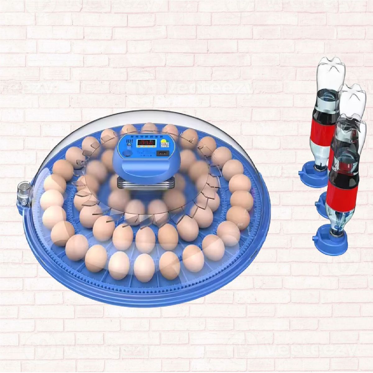 CAIM - INCUBADORA MODELO OVNI DE 52 HUEVOS.