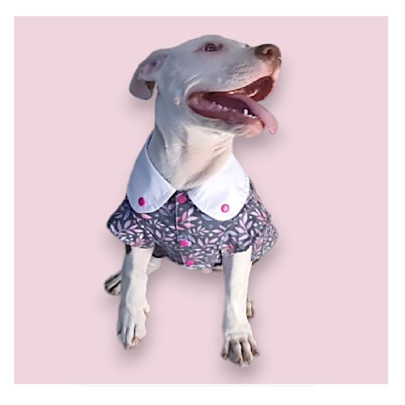MD - Ropa Blusa para Mascotas Gatos y Perros Flores T-M4