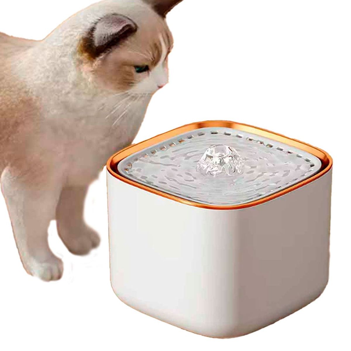 VARIOS - Bebedero para Gatos y Perros Agua Fresca Cuadrado Blanco