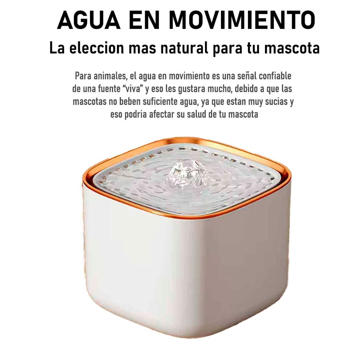 VARIOS - Bebedero para Gatos y Perros Agua Fresca Cuadrado Blanco