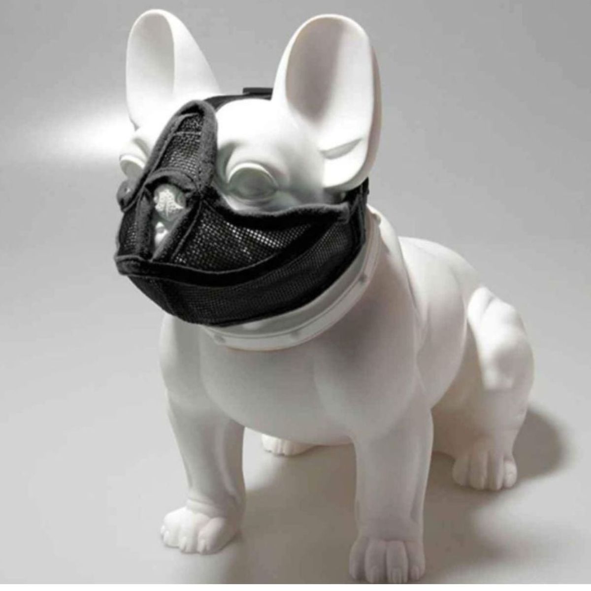 GENERICO - Bozal Máscara para Perros de Cara Plana Talla M