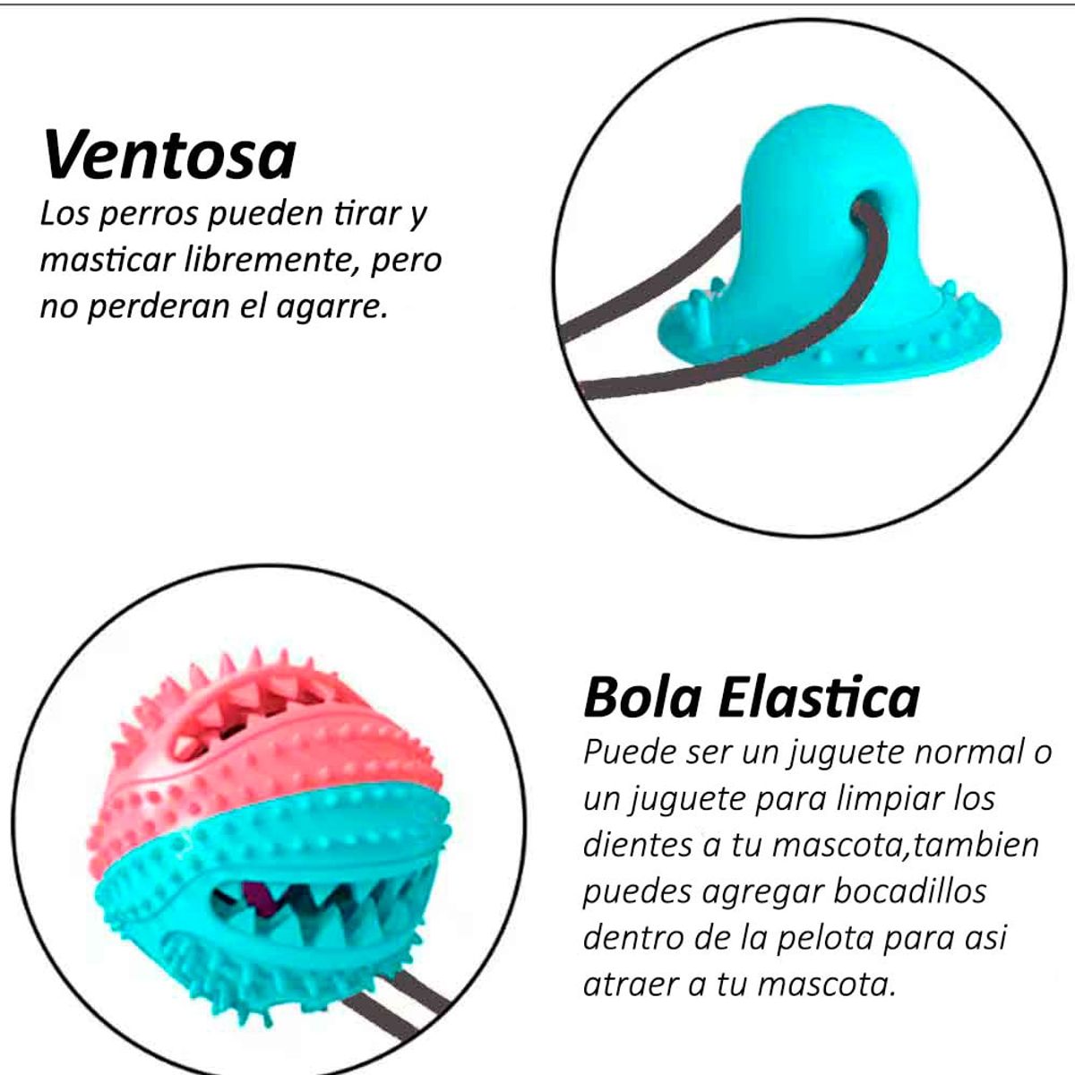 VARIOS - Pelota Mordedora con base para Perros Dispensado VerdeFuxia