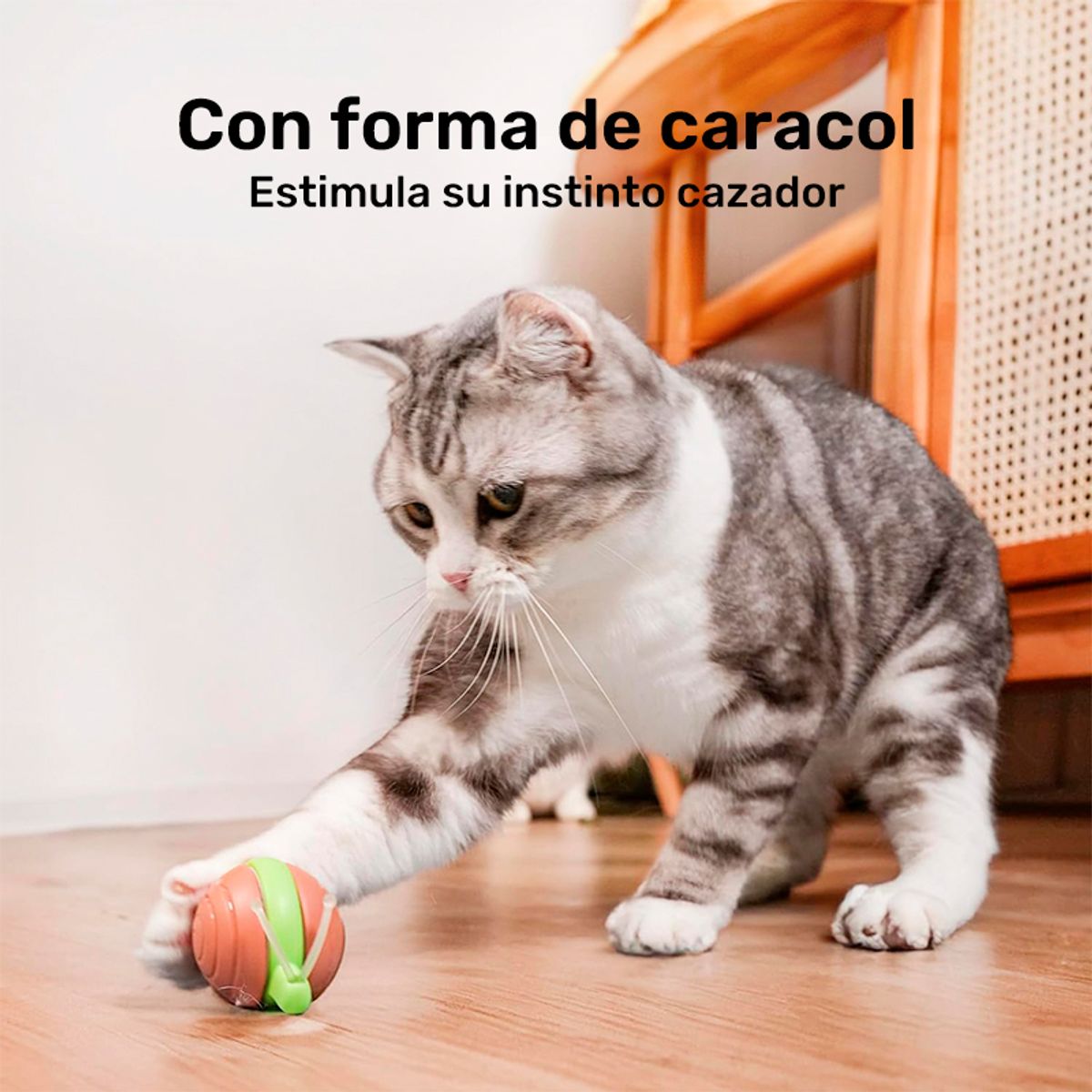 CHEERBLE - JUGUETE INTERACTIVO DE CAZA CARACOL GATOS