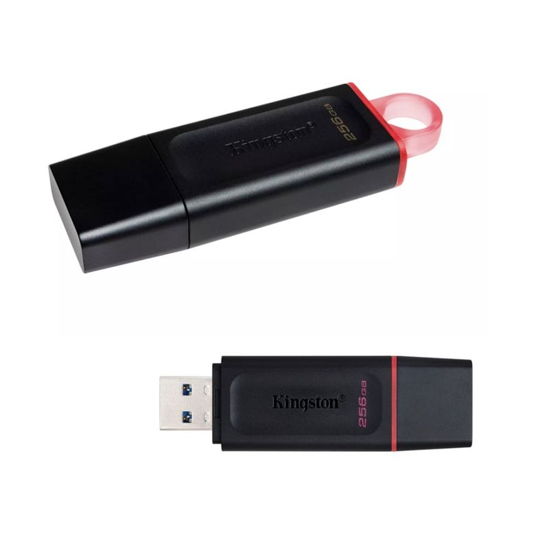 KINGSTON - Memoria flash USB kingston datatraveler EXODIA 256GB usb 3.2