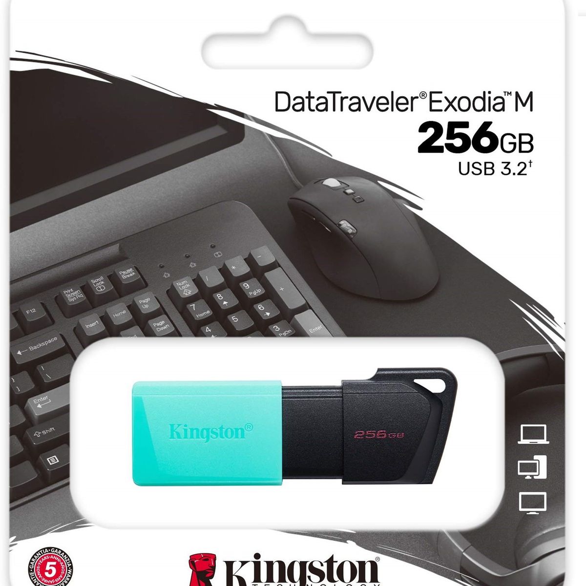 KINGSTON - Memoria USB 256 GB Kingston DataTraveler Exodia M