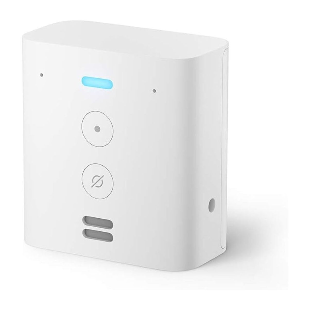 GENERICO - ECHO FLEX MINI ALTAVOZ ENCHUFABLE