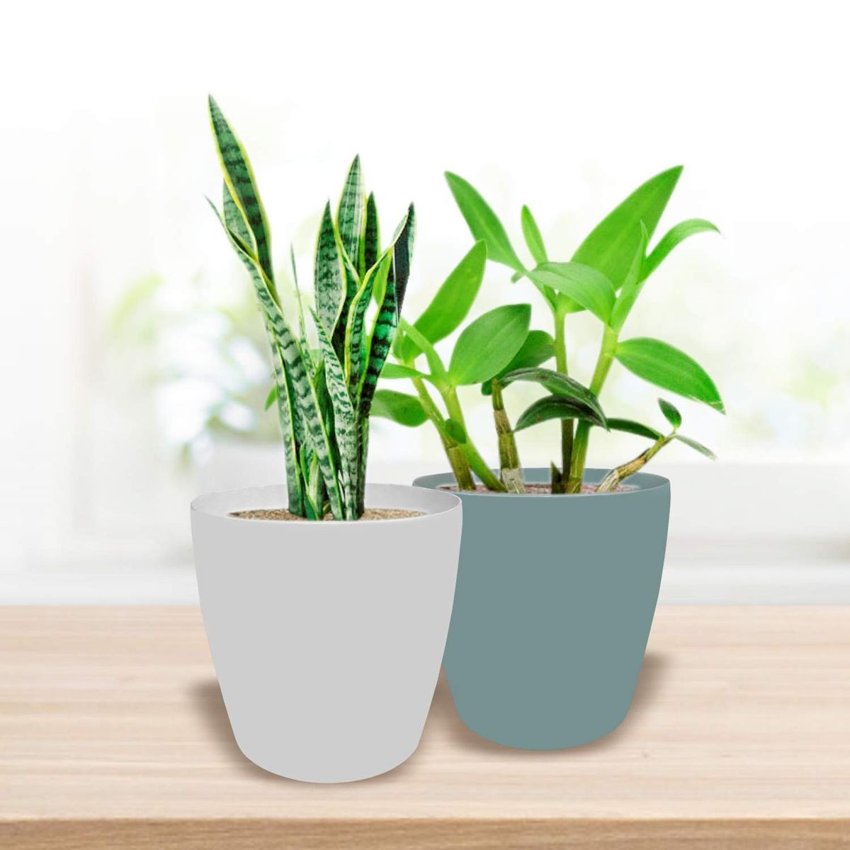 GENERICO - Maceteros en resina poliester Ancho 44cm-31cm  Altura 42cm