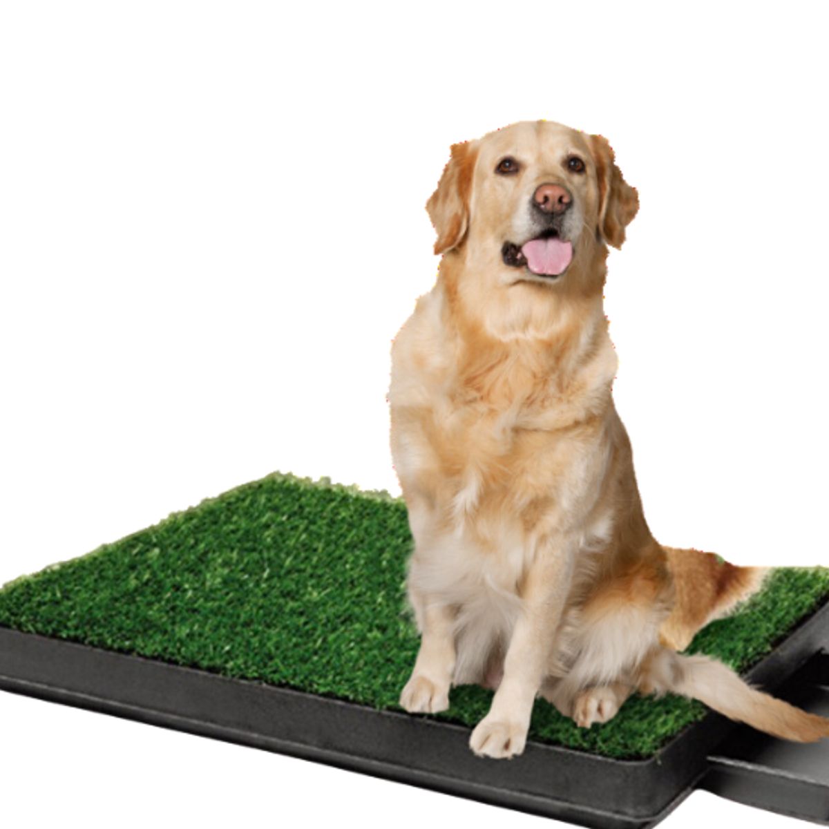 GENERICO - BAÑO ECOLÓGICO PORTÁTIL CON CÉSPED PARA PERROS