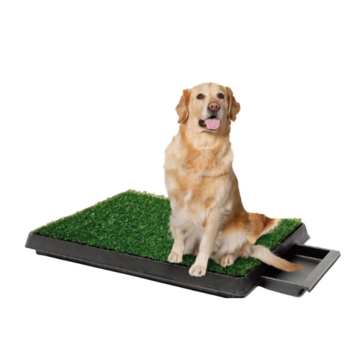 GENERICO - BAÑO ECOLÓGICO PORTÁTIL CON CÉSPED PARA PERROS