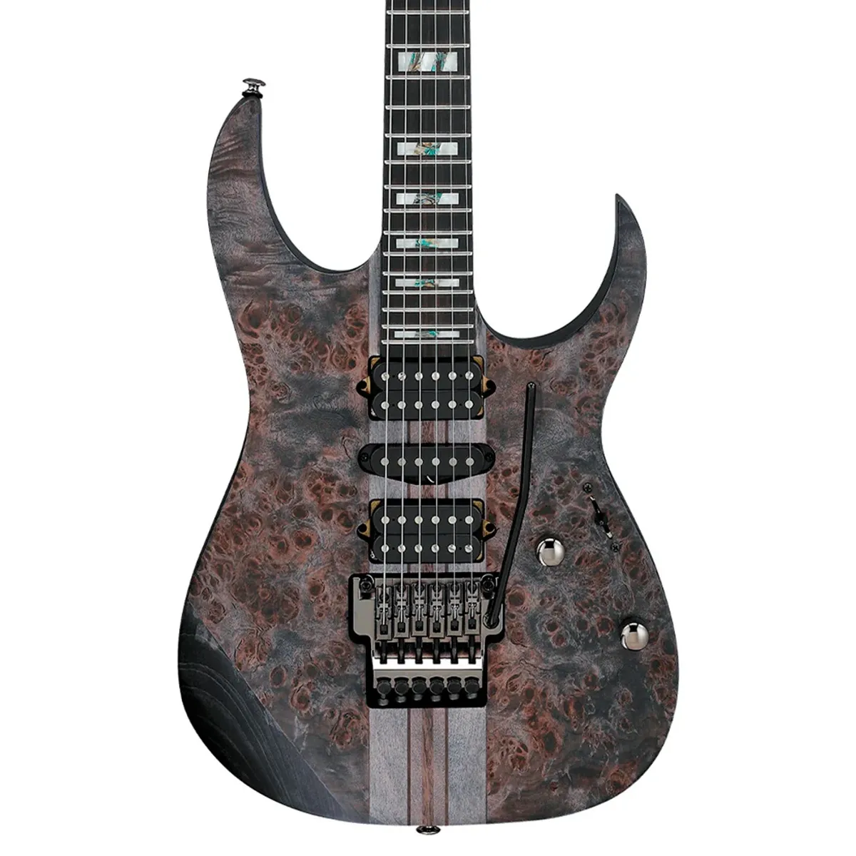 IBANEZ - Guitarra Eléctrica Ibanez Rg Premium RGT1270PB-DTF