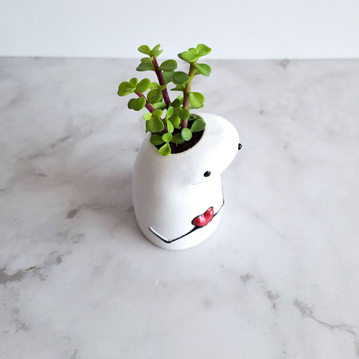 CONKRETE - Maceta Flork enamorado + Planta Suculenta modelo aleatorio