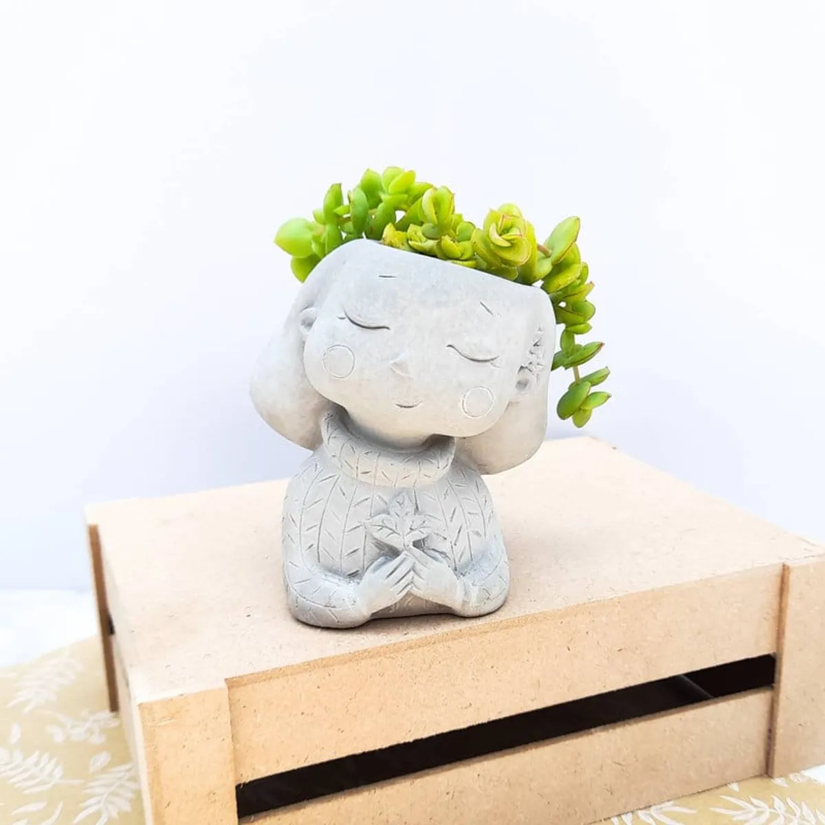 CONKRETE - Maceta de Cemento Aurora + Planta Suculenta modelo aleatorio