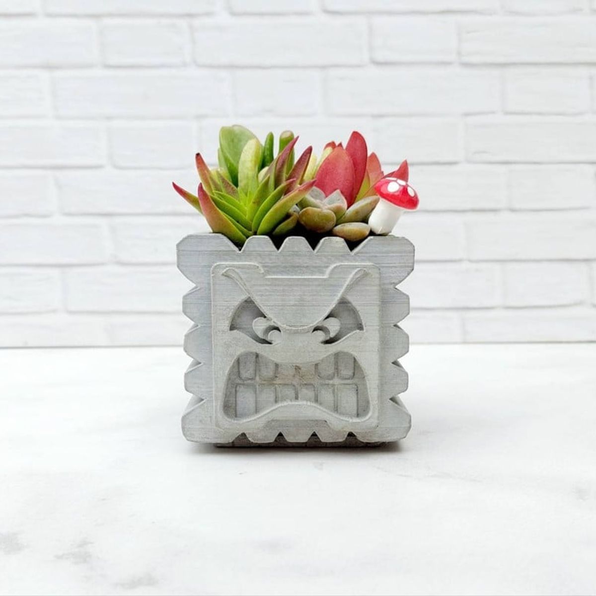 CONKRETE - Maceta de Cemento Pisotón de Mario Bros + Plantas Suculentas