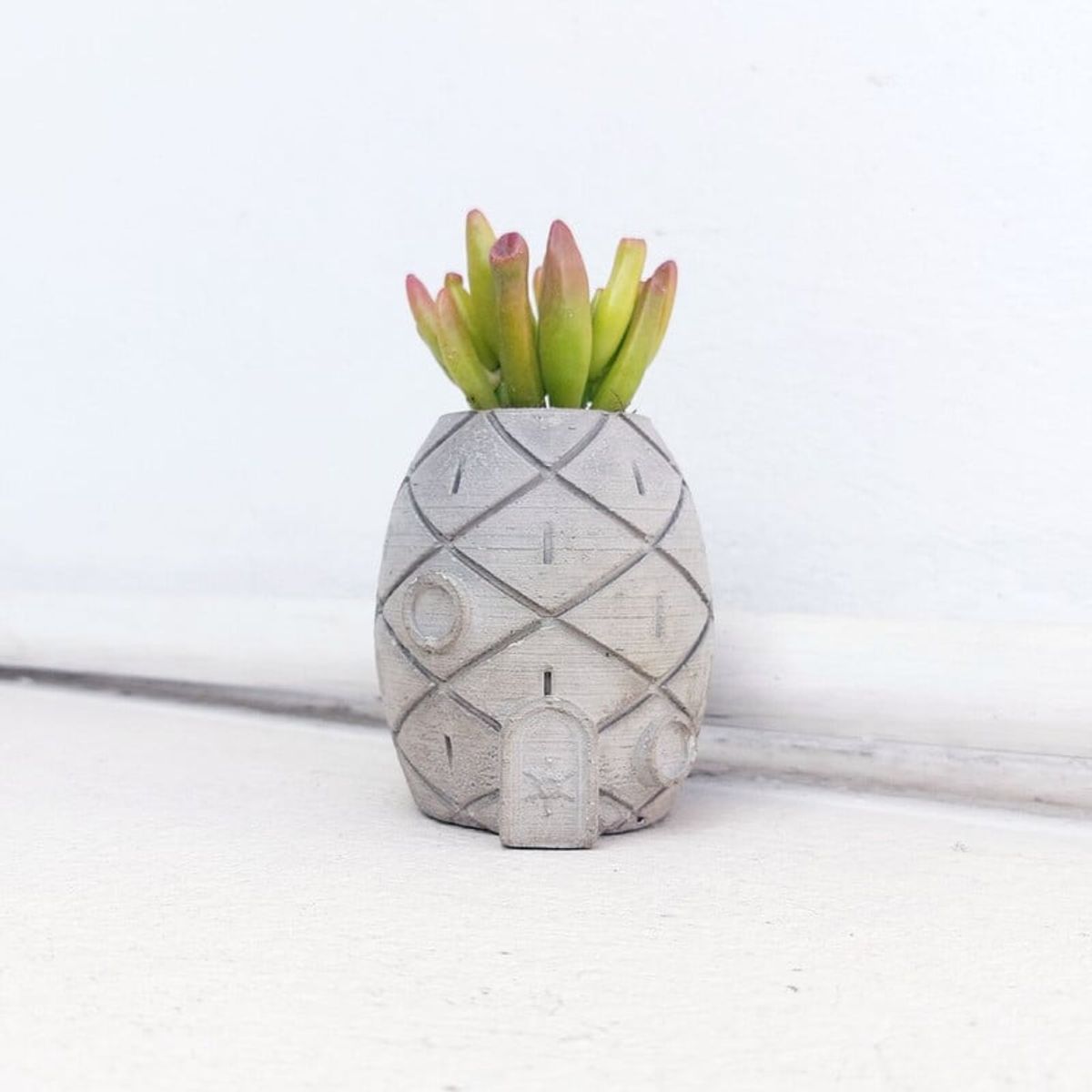 CONKRETE - Maceta de Cemento Casa de Bob Esponja + Planta Suculenta aleatoria