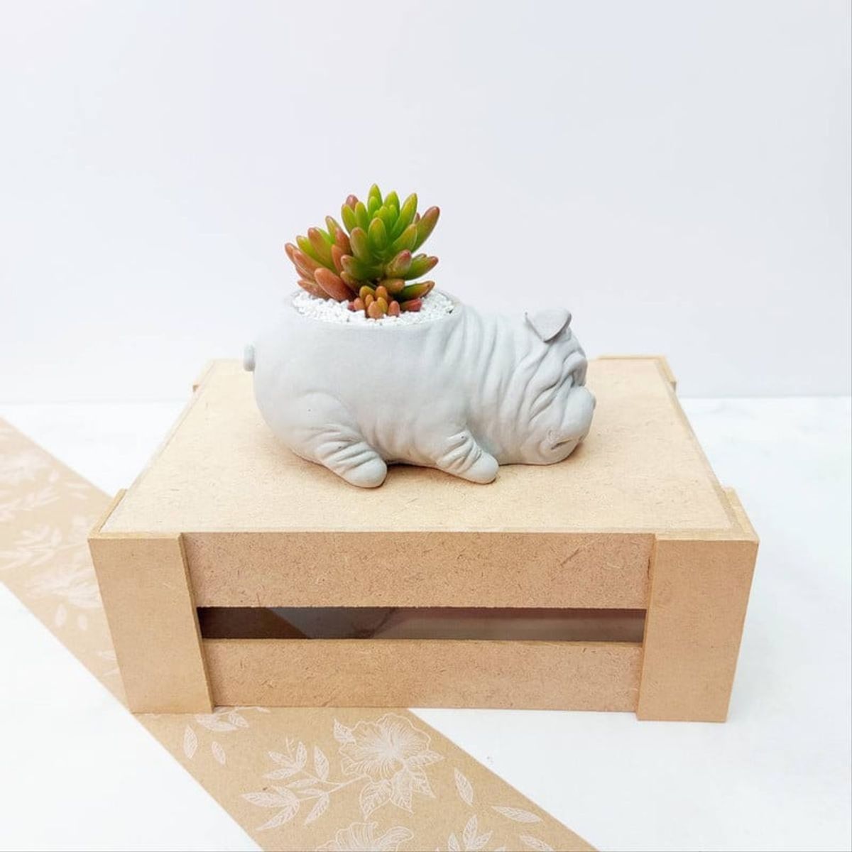 CONKRETE - Maceta de Cemento Perro Shar Pei + Planta Suculenta aleatoria