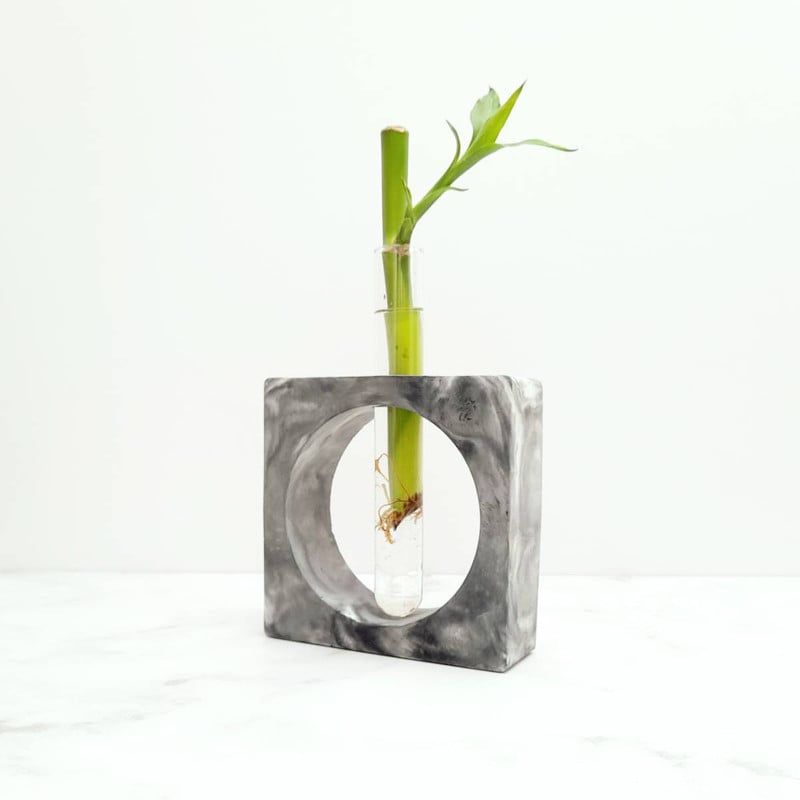 CONKRETE - Maceta de Cemento Bambú Flotante + Planta Bambú