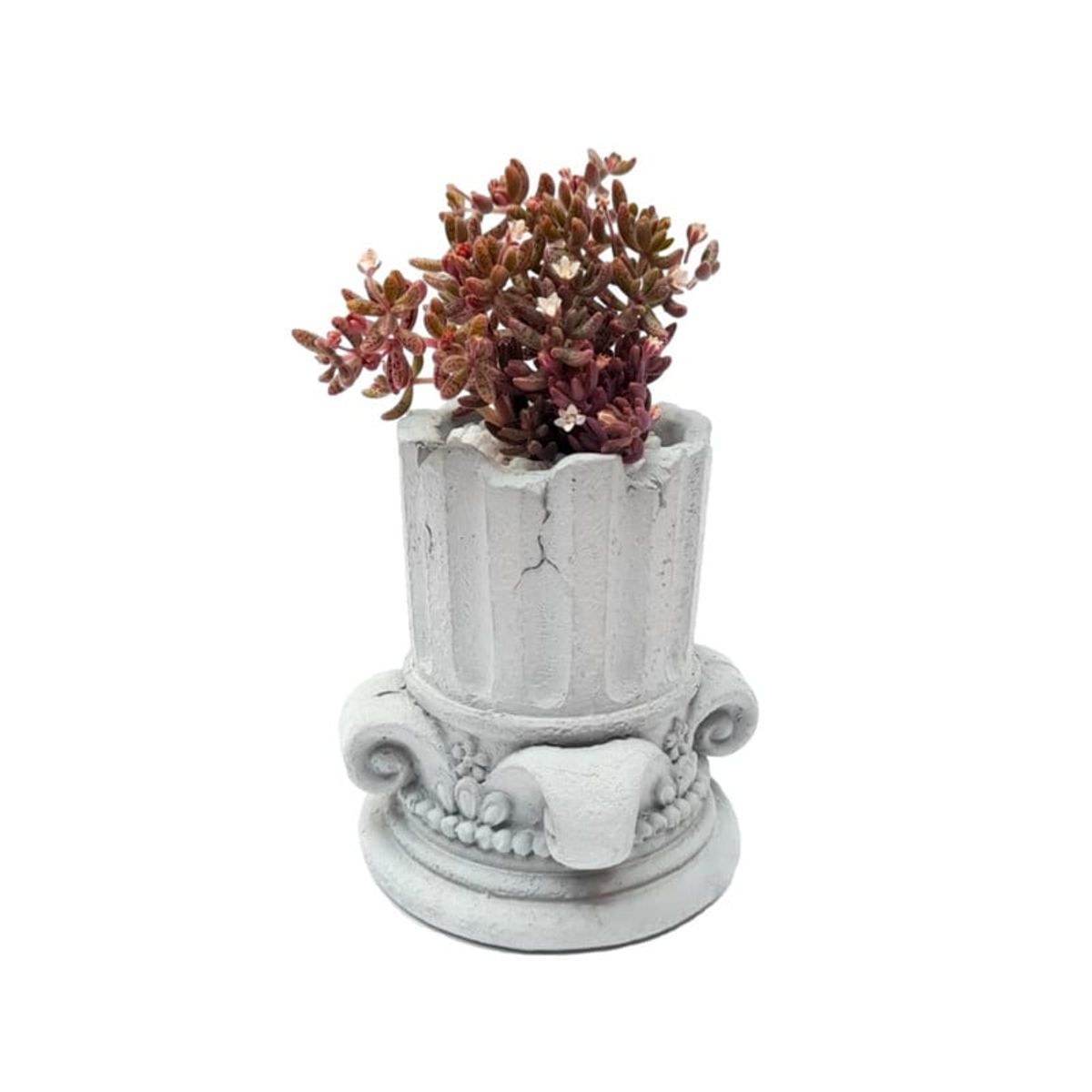 CONKRETE - Maceta de Cemento Columna + Planta Suculenta aleatoria