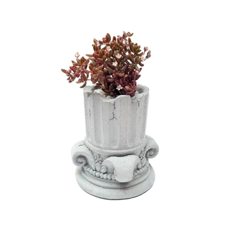 CONKRETE - Maceta de Cemento Columna + Planta Suculenta aleatoria