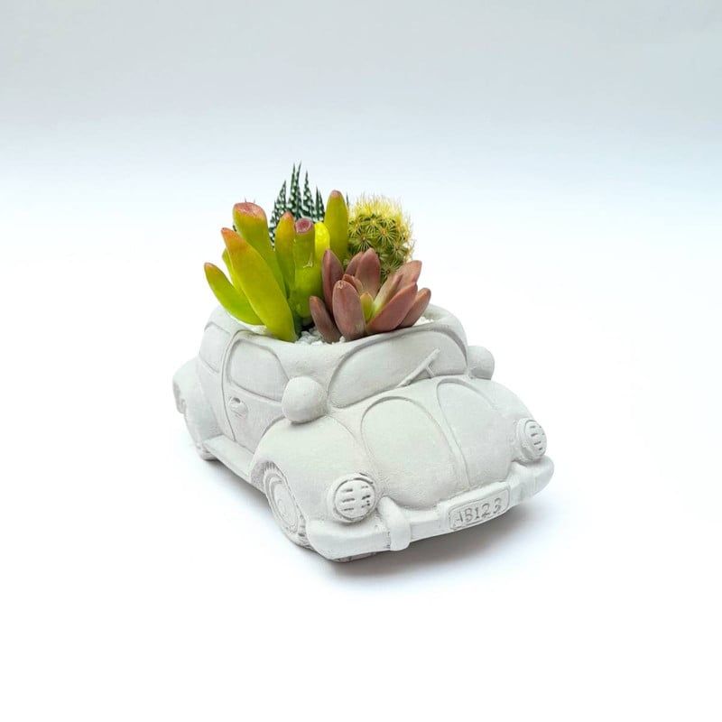 CONKRETE - Maceta de Cemento Terrario Volkswagen +  Plantas Suculentas aleatorias