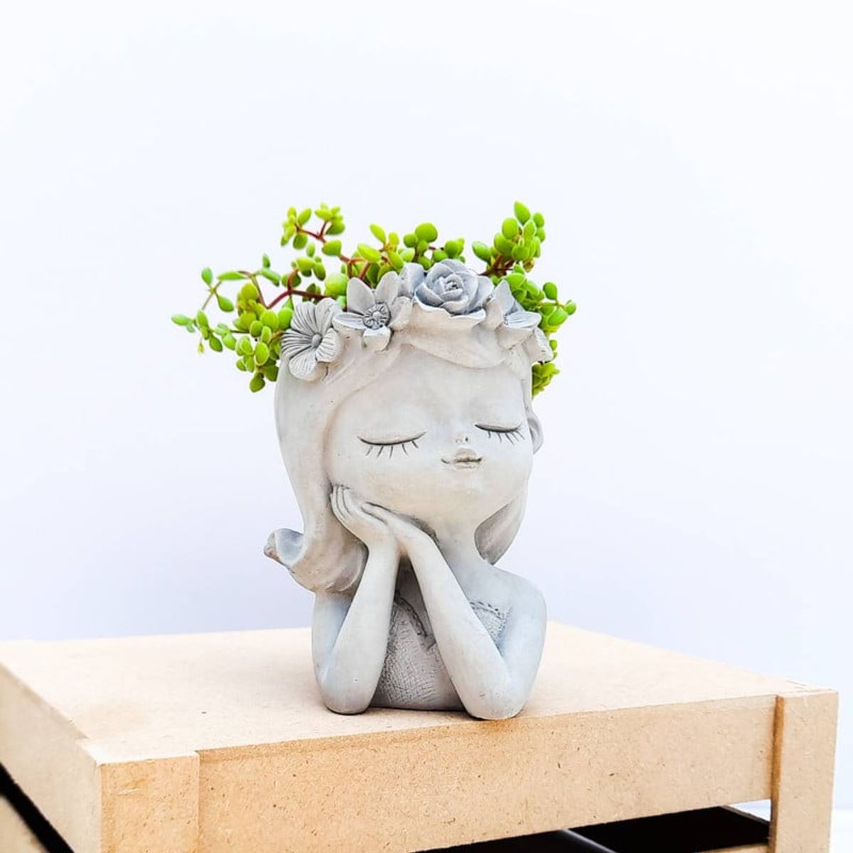 CONKRETE - Maceta de Cemento Lola Soñadora + Planta Suculenta modelo aleatorio